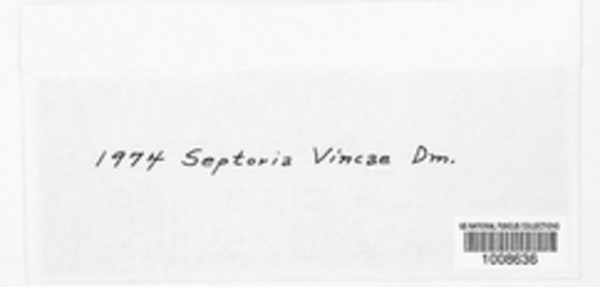 Septoria vincae image